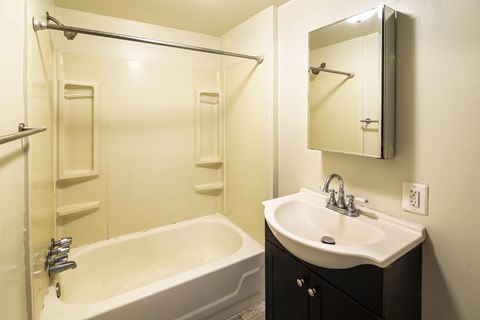 a bathroom with a sink and a tub and a mirror